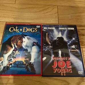 Cats&dogs&マイティージョー