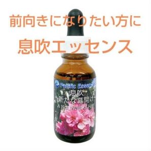 息吹~新たな幕開け~ A new world of hope パシフィックエッセンス