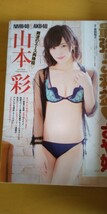 ヤングチャンピオン 切り抜きなし 山本彩 未使用クリアファイル・アイドルDVD付き 巻頭グラビア さや姉 NMB48 AKB48 2015.1.27 No.3_画像3