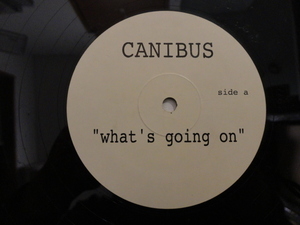 Canibus What's Going On オリジナル原盤 US 12 激ドープ 90S HIPHOP CLASSIC All Over The Track / Too Hot 収録　視聴