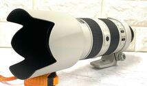Nikon ニコン ED AF-S NIKKOR 80-200mm 1:2.8D 一眼レフ用 大口径望遠ズームレンズ ライトグレー ケース付 動作未確認 fah 2A670_画像8