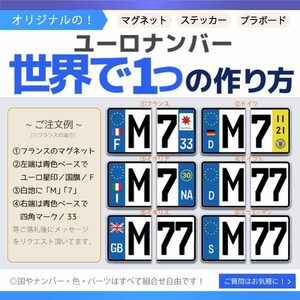 【左右１セット×２０】　ユーロナンバープレート　　オーダーデザイン　選べる素材3タイプ　