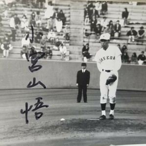 早稲田大学野球 小宮山悟 直筆サイン 写真 (検)六大学野球 プロ野球入団前 ロッテオリオンズ 1989年ドラフト1位 メッツ 横浜ベイスターズの画像2