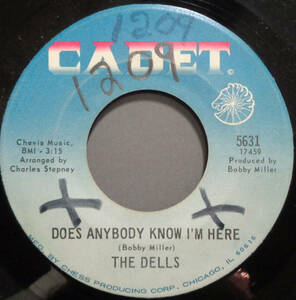 【SOUL 45】DELLS - DOES ANYBODY KNOW I'M HERE / MAKE SURE (s240206039) 