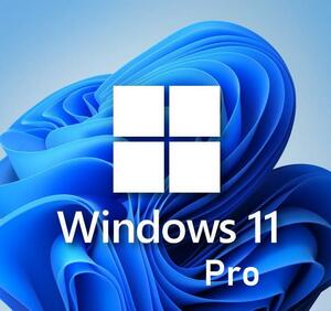 Windows11 Pro正規プロダクトキー64bit自作パソコンPC/MAC/BTO純正RetailリテールOnlineライセンス認証コードUSBダウンロード版OSソフト