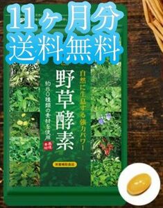 新品送料無料！11ヶ月分【野草酵素】サプリメント約80種類の野草・野菜・果実 発酵 熟成 ダイエット