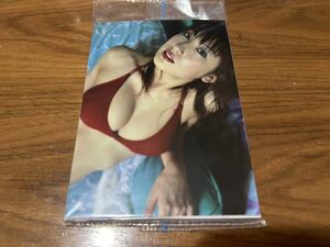 【1円スタート】熊田曜子 L判写真30枚セットまとめ売り