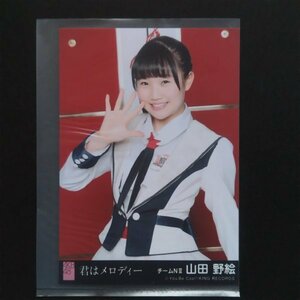 NGT48 生写真 AKB48 劇場盤 君はメロディー 山田野絵