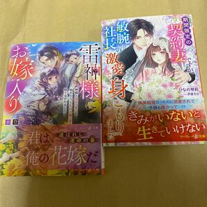 雷神様にお嫁入り　神様と溺甘子育てを始めたら、千年分の極上愛を降り注がれました （マーマレード文庫　キ３－０５） 木登／著