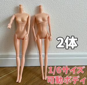 残り1点！2体セット【バービー 人形】可動ボディ 1/6サイズ ドール 26cm リカちゃん デッサン 素体