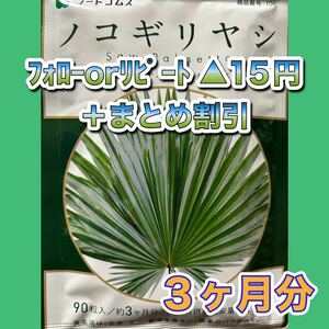 1095★ノコギリヤシ●シードコムス（3カ月）