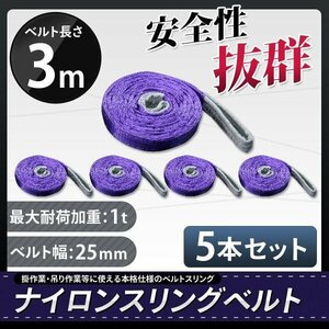 【5本セット】ナイロンスリングベルト 3m 幅25mm 荷重1000kg 1t 玉掛け ベルトスリング 吊上げ ロープ 牽引 お買い得!