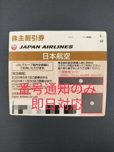 【即日対応】JAL 株主優待 番号通知のみ