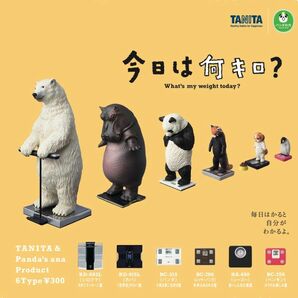 タニタ×パンダの穴 今日は何キロ? 全6種 セット