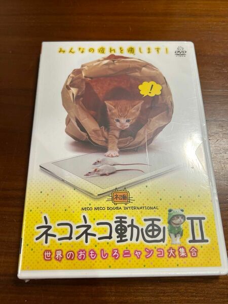 ネコネコ動画 II~世界のおもしろニャンコ大集合~ DVD 猫　ねこ