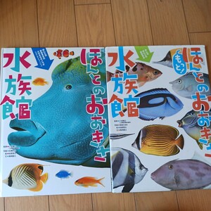 ほんとのおおきさ水族館　もっと！ほんとのおおきさ水族館 小宮輝之／監修　尾崎たまき／写真　柏原晃夫／絵　高岡昌江／文　学研