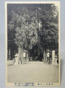 【戦前・絵葉書】 高野山　一の橋　金剛峯寺　奥の院　犬 // 古写真　資料◆和歌山県