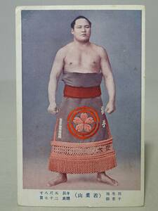 【戦前・絵葉書】 相撲 角力 関取 力士 ( 若 葉 山 ）千葉県 // 化粧まわし　古写真　資料◆