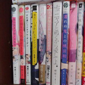 晴屋うまこ10冊セット