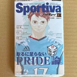  ハイキュー 原作 小説 ショーセツバン13巻 スポーツ誌 両面 全面帯 フェア 映画 Sportivaリアルチケット風しおり チケット しおり及川徹 