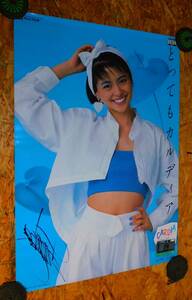  включая доставку ( Okinawa кроме ) Koizumi Kyoko постер FUJI FILM CARDIAka Rudy a2 шт. комплект .