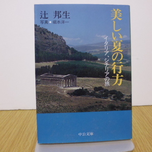 美しい夏の行方　イタリア、シチリアの旅 （中公文庫） 辻邦生／著