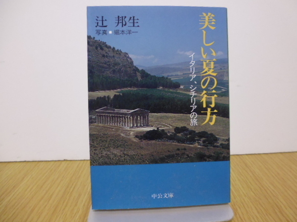 美しい夏の行方 イタリア、シチリアの旅 (中公文庫) 辻邦生/著