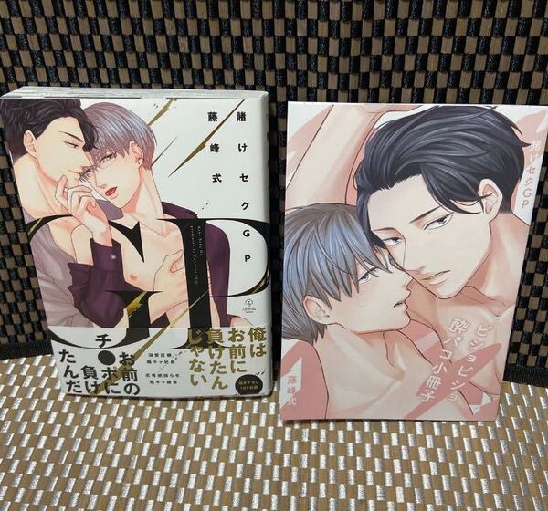 賭けセクGPコミック+全サ《ビショビショ酔パコ小冊子》藤峰式(393)