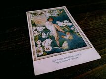 M.W.Tarrant (H)◆T71 マーガレット タラント 子供 妖精 イラスト 少女 少年 アンティークポストカード イギリス ビンテージ 外国絵葉書_画像8