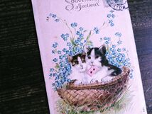 猫(8) L81◆エンボス アンティークポストカード フランス ドイツ ベルギー イギリス ネコ ねこ 子猫 忘れな草 勿忘草 外国絵葉書 _画像9