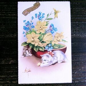猫(12) L81◆アンティークポストカード フランス ドイツ ベルギー イタリア イギリス ネコ ねこ 子猫 外国絵葉書 ビンテージ