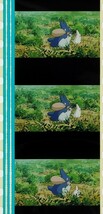 となりのトトロ 35mm　フィルム　スタジオジブリ　MY NEIGHBOR TOTORO　中トトロと小トトロ_画像1