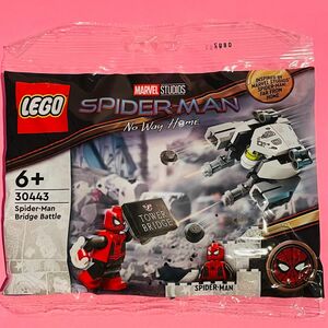 レゴ（LEGO） マーベル スパイダーマン 橋の上の戦い ミニセット 30443