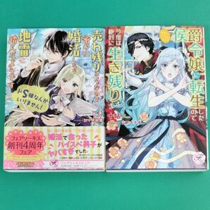 フェアリーキス・2冊セット/ライトノベル