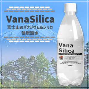【24本】VanaSilica バナジウム＆シリカ 強炭酸水 500ml バナシリカの画像2