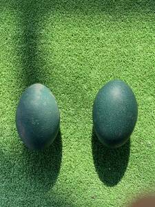 エミューの卵　2個