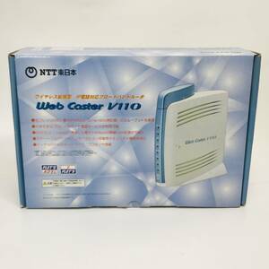 Web Caster V110