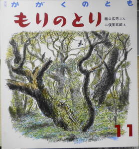 もりのとり　樋口広芳　二俣英五郎　かがくのとも224号　1986年初版　福音館書店　t