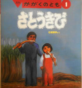 さとうきび　石垣博孝　かがくのとも250号　1990年初版　福音館書店　q