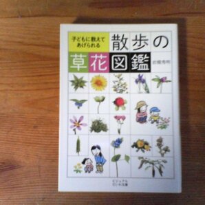 HX 子どもに教えてあげられる  散歩の草花図鑑 岩槻 秀明   (ビジュアルだいわ文庫)  2020年発行の画像1