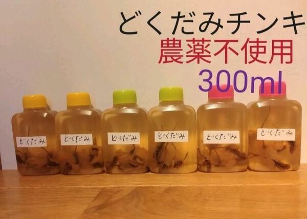 どくだみチンキ　エキス　農薬不使用３００ml