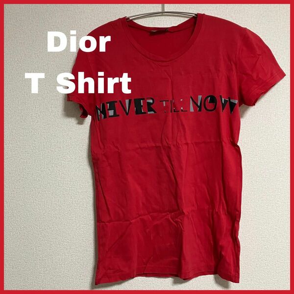 Dior Homme Tシャツ 古着 レッド