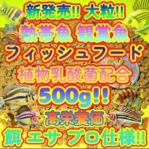 新販売!! 大粒 餌 500g!!たっぷりお徳用 高栄養価フード プロ仕様! ショップ ブリーダー 熱帯魚 観賞魚 プレコ ディスカス シクリッド飼料1