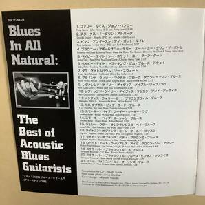 送料無料 決定版 ベスト オブ アコースティック ブルース ギタリスト「BLUES IN ALL NATURAL」オムニバス入門ベスト全21曲 国内盤の画像3