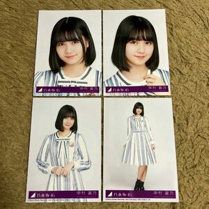 乃木坂46 中村麗乃 生写真 シンクロニシティ 封入特典 4枚 コンプ セット