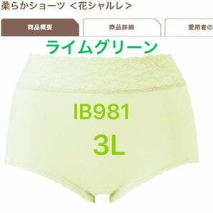 花シャルレ＊IB981＊ライムグリーン＊3L＊在庫限り＊この機会に纏め買いを。