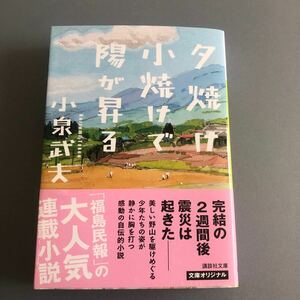 夕焼け小焼けで陽が昇る （講談社文庫　こ６８－４） 小泉武夫／〔著〕