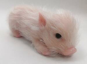  real micro pig baby baby doll . pig 