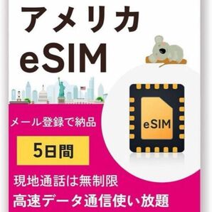 eSIM 5日間 高速データ通信無制限使い放題 SIMカード ハワイeSIM