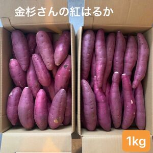 24日以降発送 A等級品　千葉県かとり産　金杉さんの紅はるか　1kg 一番使いやすいMサイズ　 サツマイモ さつまいも